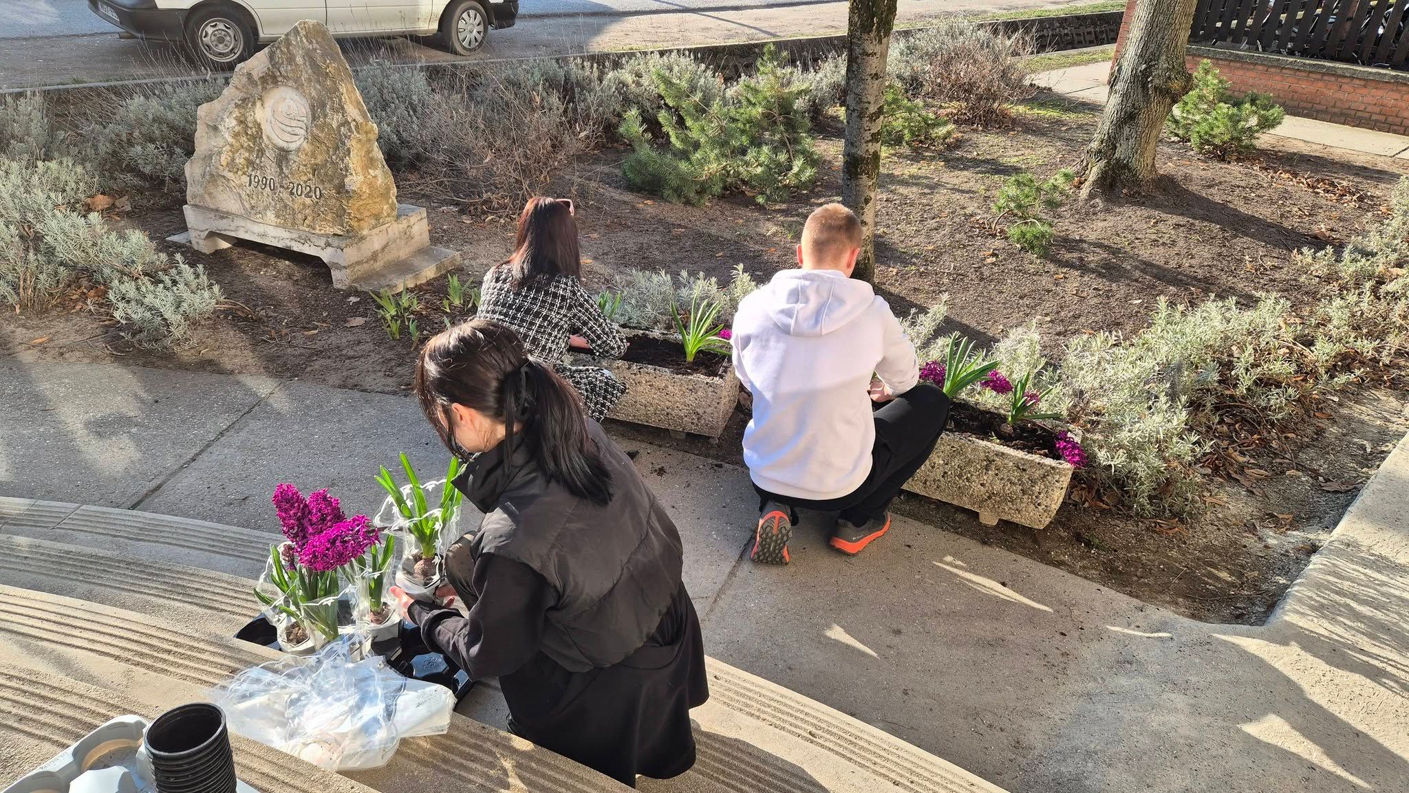 Virágültetés a Szterényiben